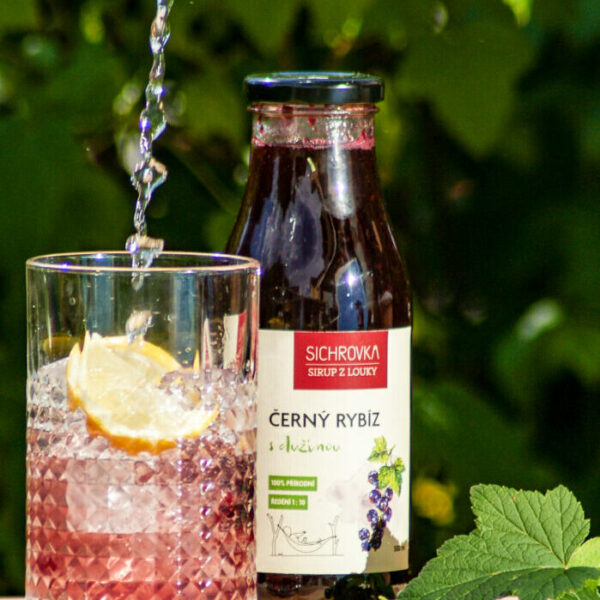 Sirup Černý rybíz